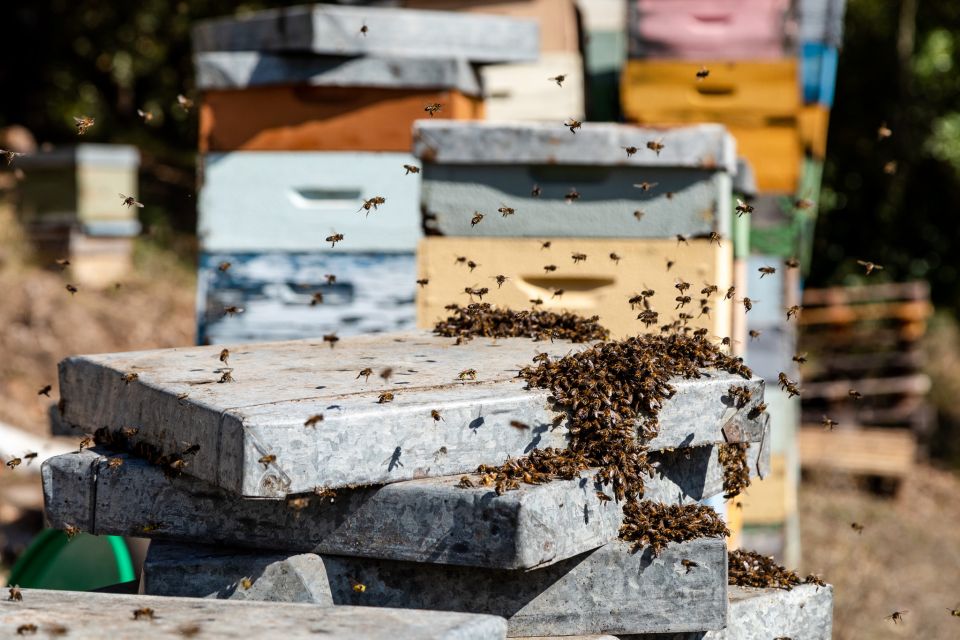 Algarve: Jeep Safari With Distillery Visit & Lunch - Traditional Honey Production