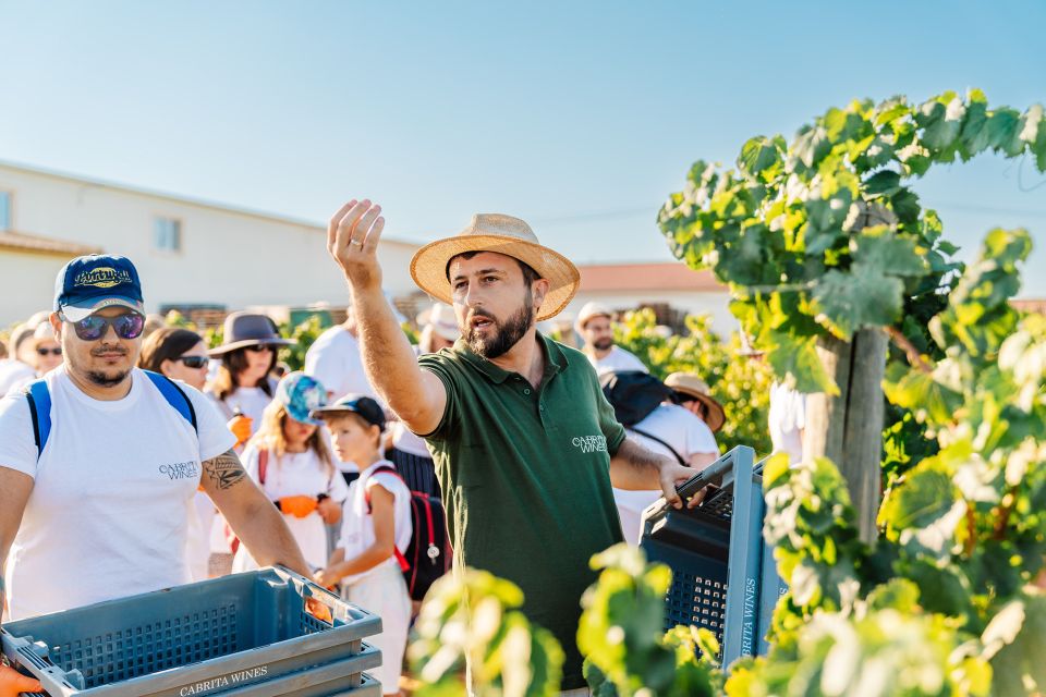 Algarve's Classic Wine Tasting - Directions