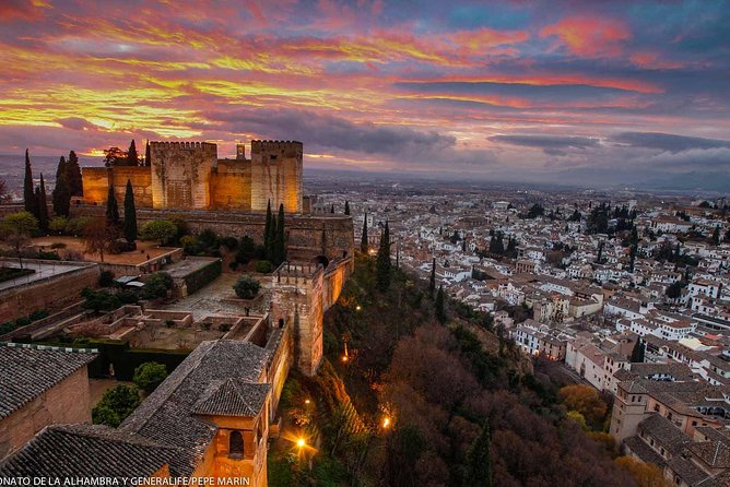 Alhambra, Nasrid Palaces, Generalife & Alcazaba Private Tour - Ticket Distribution Challenges