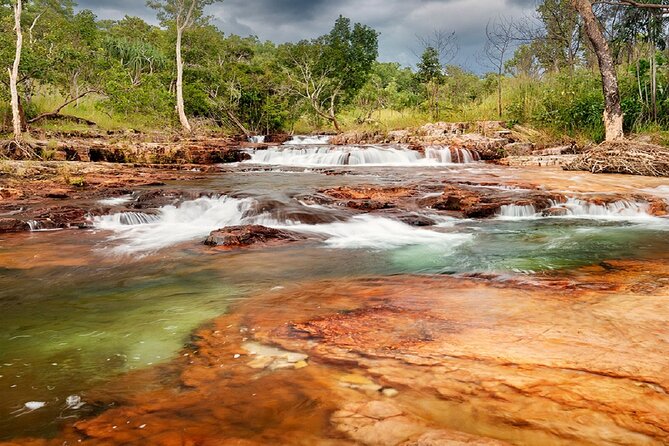 All-Day Tour of Litchfield National Park  - Darwin - Tour Itinerary and Activities