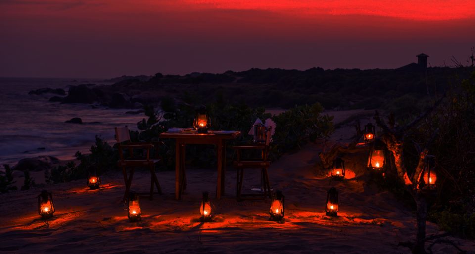 All-Inclusive Afternoon Yala Safari With Beach BBQ Dinner - Experience Description