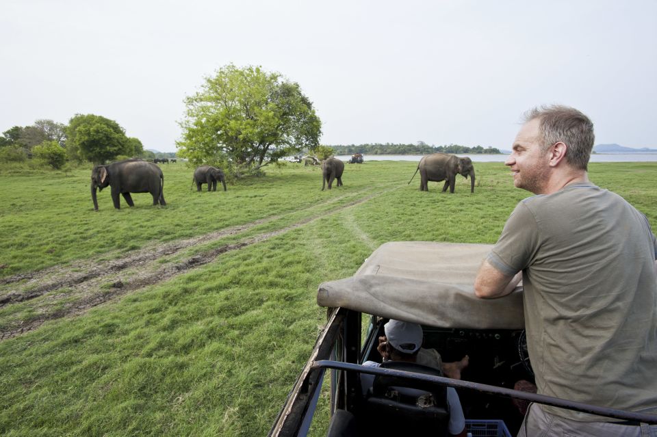 All-Inclusive Minneriya National Park Afternoon Safari - Ratings and Information on the Experience
