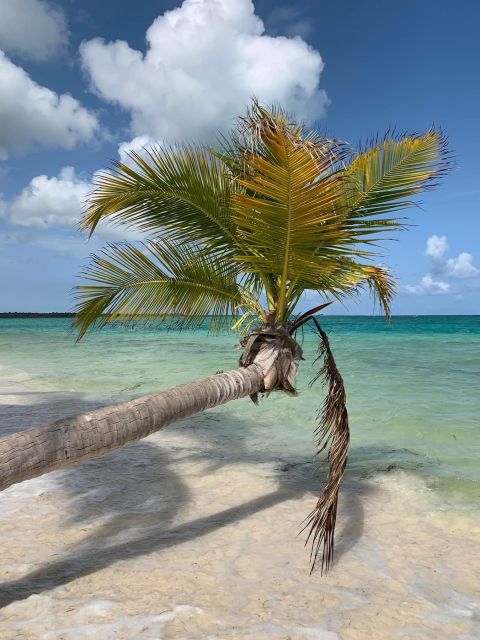 All Inclusive Saona Island Experience From Punta Cana - Inclusions