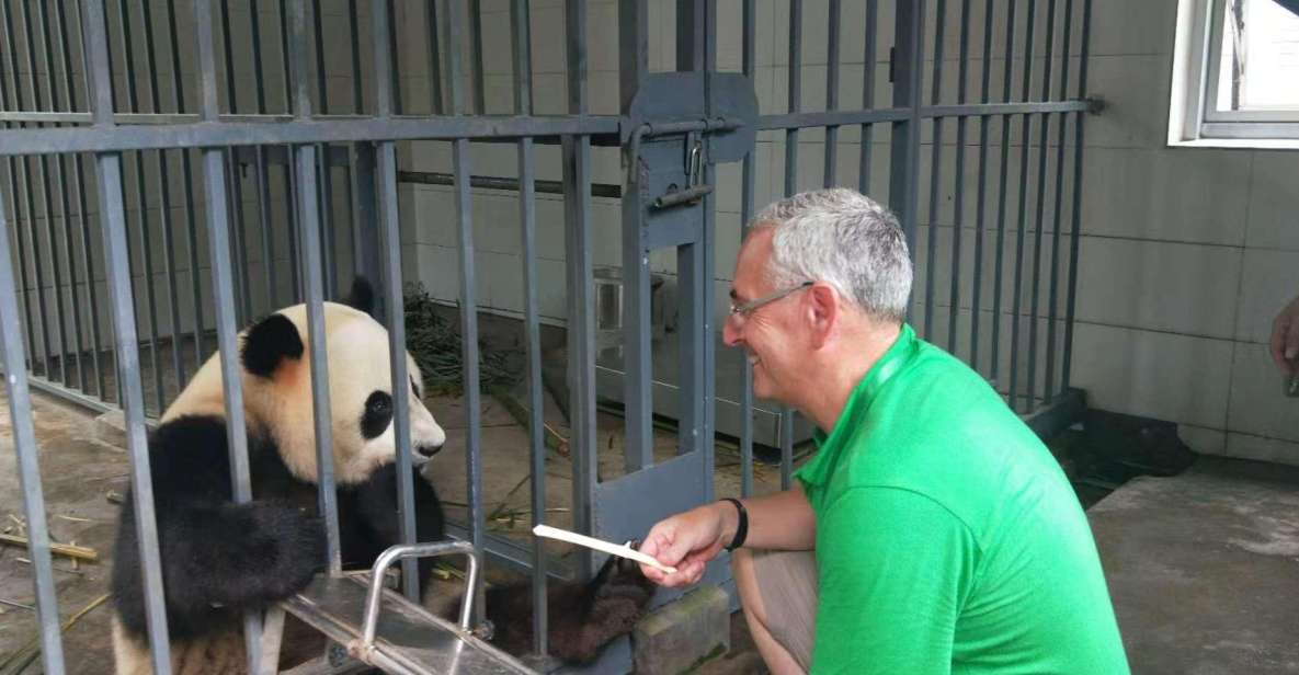 All Inclusive Wolong or Dujiangyan Panda Base Volunteering - Participant Selection and Date Availability