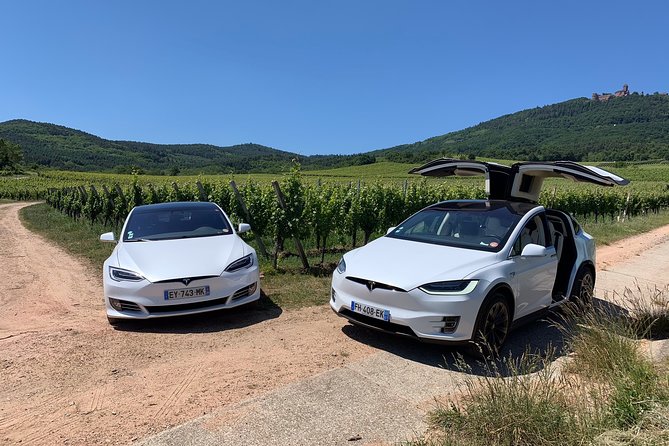 Alsace Private Tailored Tour in a Tesla With a Local - Pricing and Terms