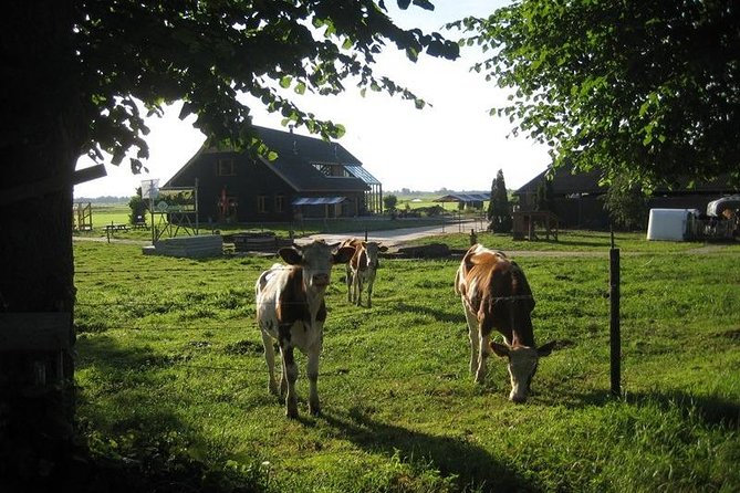 Amsterdam Outskirts Dutch Countryside Private Bike Tour 15 Min From the Centre - Logistics and Meeting Point