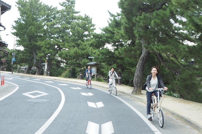 An E-Bike Cycling Tour of Matsue That Will Add to Your Enjoyment of the City - Local Cuisine Sampling