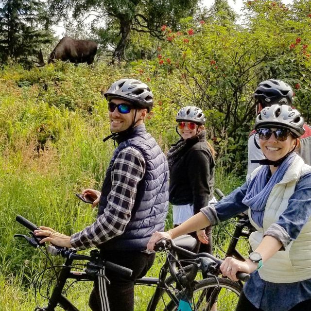 Anchorage: Coastal Trail 3-Hour City Bike Tour - Participant Information and Meeting Point