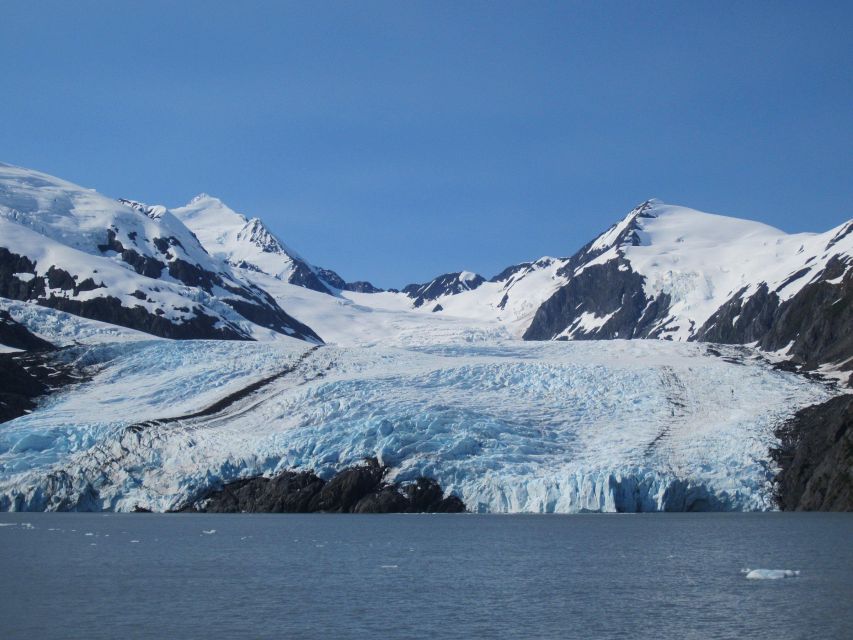 Anchorage: Glacier and Wildlife Explorer Cruise - Additional Information