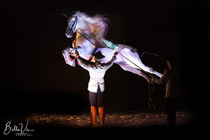 Andalusian Horses and Flamenco Show With Transportation - Common questions