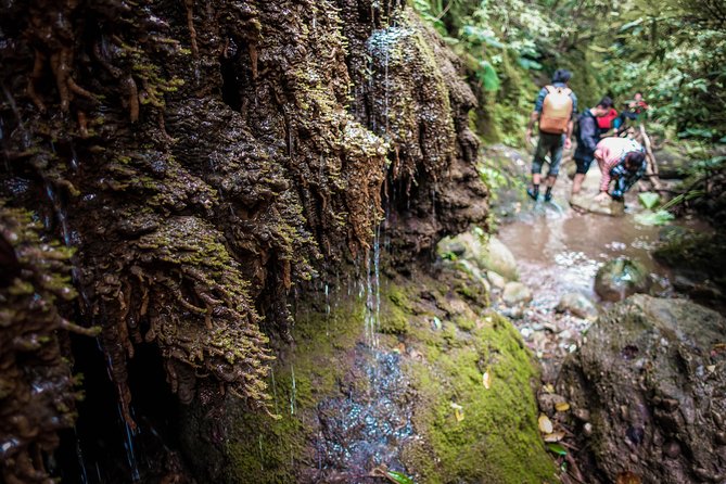 Angelic Stream Trekking (Departure With 4 People) - Group Size Limitations