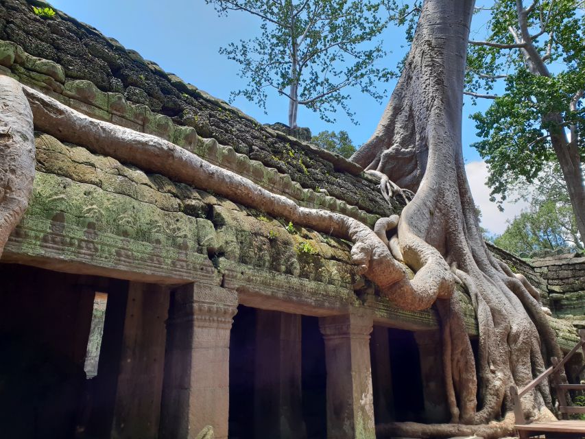 Angkor Sunrise, Taprohm and Angkor Thom. - Bayon Temple Smiling Faces