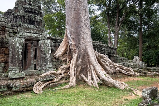 Angkor Sunrise Tour by Bike With Breakfast, Lunch & Tour Guide - Customer Feedback