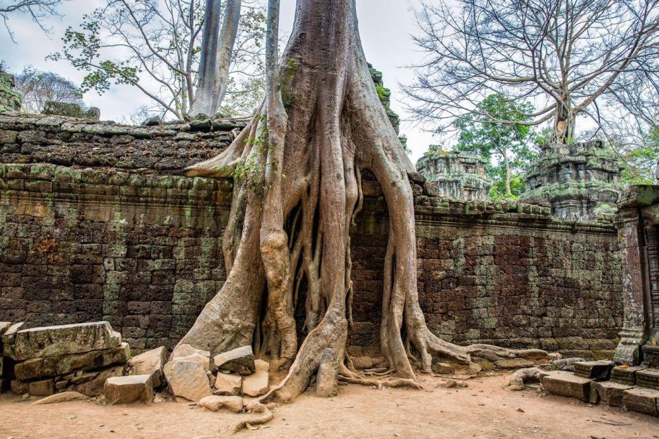 Angkor Wat Sunrise Main Temples Tour(Included Breakfast) - Experience Highlights and Temple Viewing