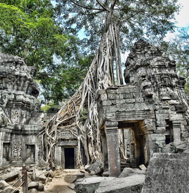 Angkor Wat Sunrise Small Group Private Tour - Booking Flexibility