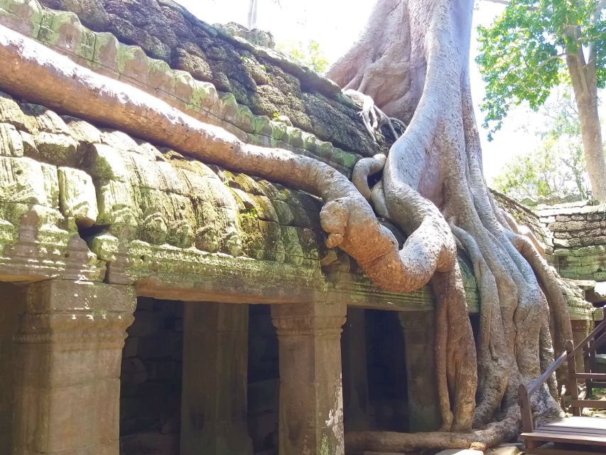 Angkor Wat Sunrise, Ta Promh, Banteay Srei, Bayon Day Tour - Booking Information
