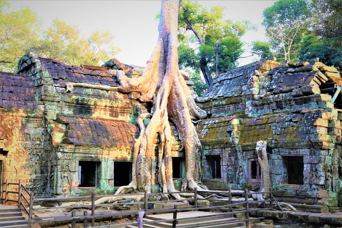 Angkor World Heritage With Sunrise - Small Group - Sunrise at Angkor World Heritage