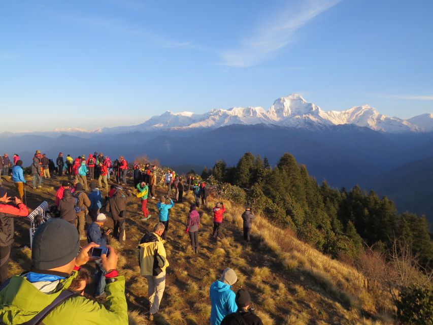 Annapurna Base Camp Trek - 12 Days - Day 9: Annapurna Base Camp to Bamboo