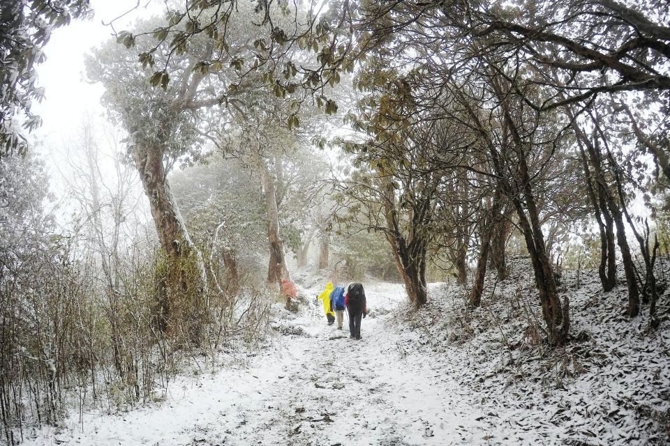 Annapurna Base Camp Trek via Poon Hill - 13 Days - Day 3: Kathmandu to Pokhara