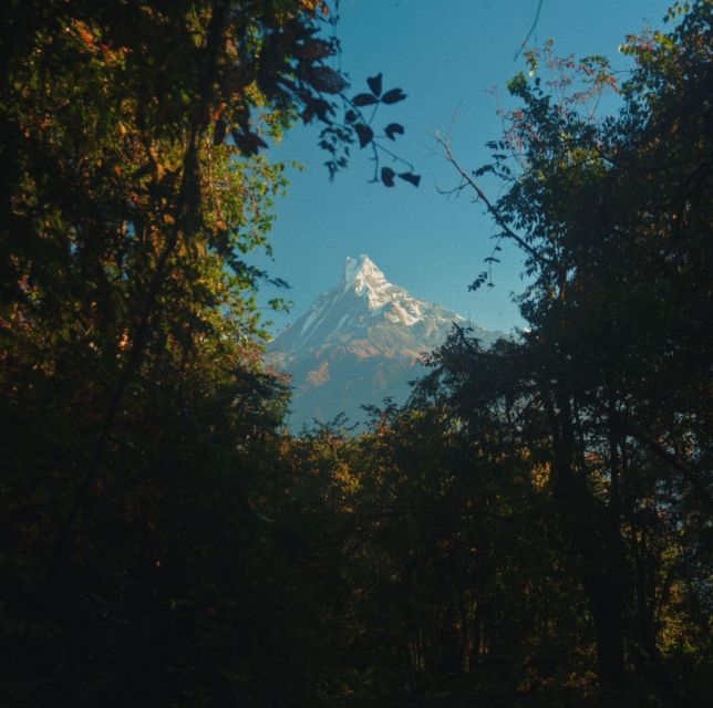 Annapurna Base Camp Trekking - Nepal - Booking Information