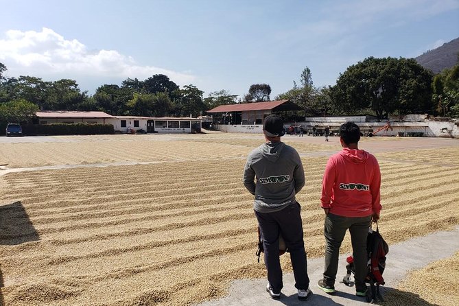 Antigua ATV Coffee Tour - Practical Details