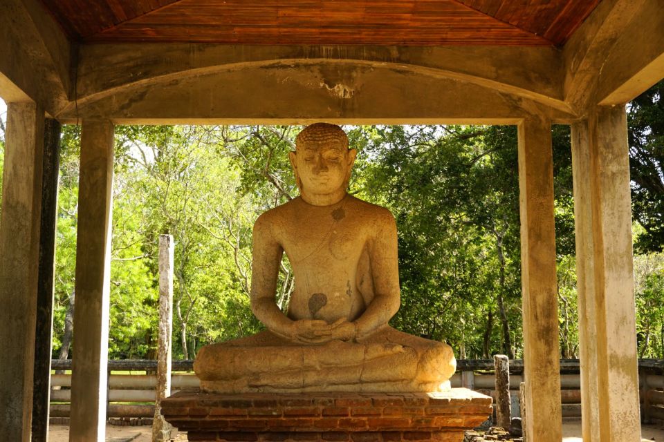 Anuradhapura Private Ancient City Day Tour - Language Options and Multilingual Support