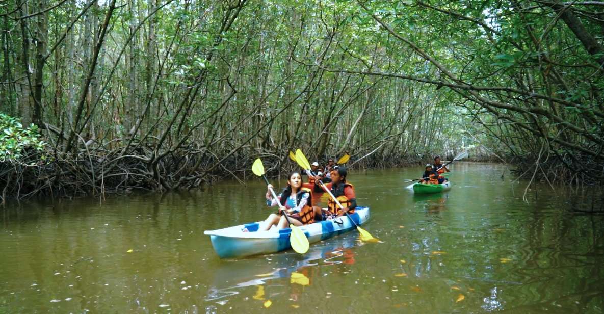 Ao Nang: Kayak Tour in Krabi Mangrove Forest With Lunch - Inclusions