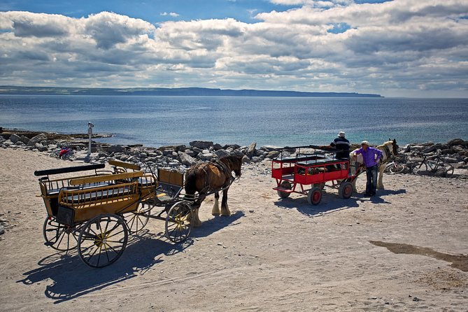 Aran Islands Pub Tour From Galway. Inisheer/Inishmore. Guided. - Additional Information