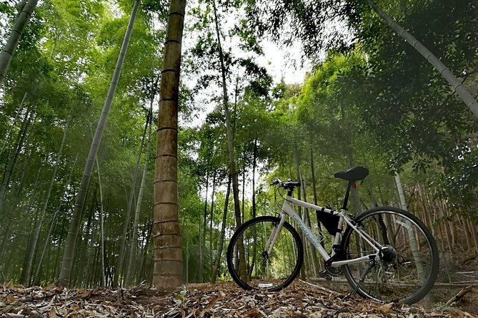 Arashiyama Bamboo Bike Tour (Early Bird) - Important Details