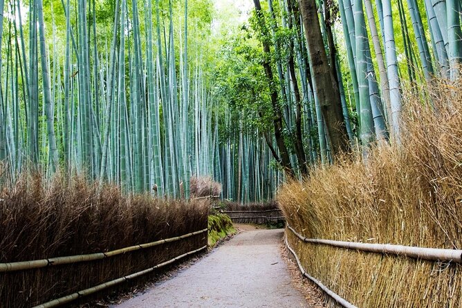 Arashiyama Bamboo Grove Day Trip From Kyoto With a Local: Private & Personalized - How to Get There
