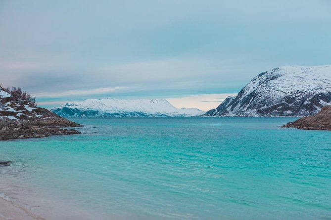 Arctic Fjord Sightseeing by Minibus - Scenic Experience