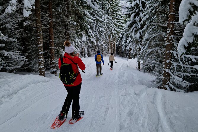 Arctic Snowshoe Hike in Norway - Additional Tips and Recommendations