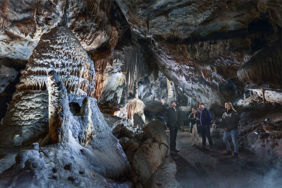 Ardennes: Caves of Han & Wildlife Park Bundle Entry Ticket - Visitor Reviews