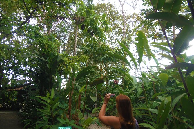Arenal Butterfly Garden - Rainforest Guided Tour Ecocentro Danaus - Group Size Limit