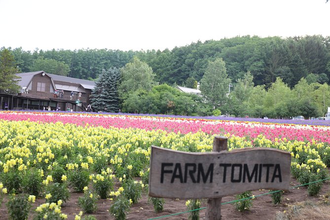 Asahiyama Zoo, Aoiike, Farm Tomita, Ningle Terrace (from Sapporo) - Common questions