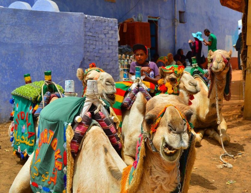 Aswan: Day Trip to Nubian Village With Camel Tour - Boat Ride With Guide Explanations