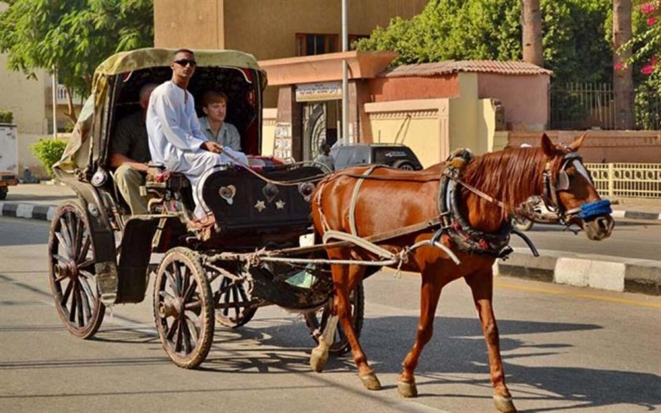 Aswan: Private Horse & Carriage City Tour With Hotel Pickup - Last Words