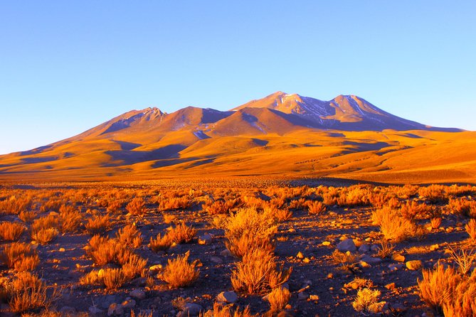 Atacama Salt Flat & Piedras Rojas Tour From San Pedro De Atacama - Customer Experiences and Recommendations