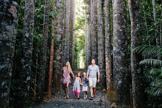 Atherton Tablelands and Waterfalls Full-Day Tour From Cairns  - Cairns & the Tropical North - Guide Appreciation