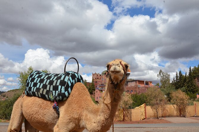 Atlas Mountain and Berber Village Horsebacking Day Trip  - Marrakech - Booking Details