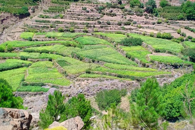Atlas Mountain & Berber Villages and Waterfalls Day Trip From Marrakech - Traditional Berber Meal