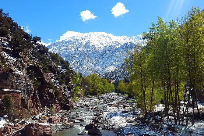 Atlas Mountains & Berber Villages With Camel Ride Included - Customer Experiences and Host Responses