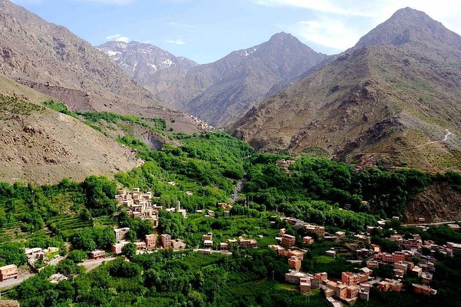 Atlas Mountains Day Trip From Marrakech 3 Valleys & Berber Villages & Camel Ride - Customer Reviews