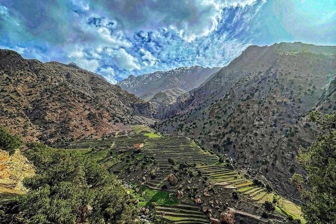 Atlas Mountains & Desert Agafay & Berber Villages Waterfalls Day Trip - Reviews and Feedback