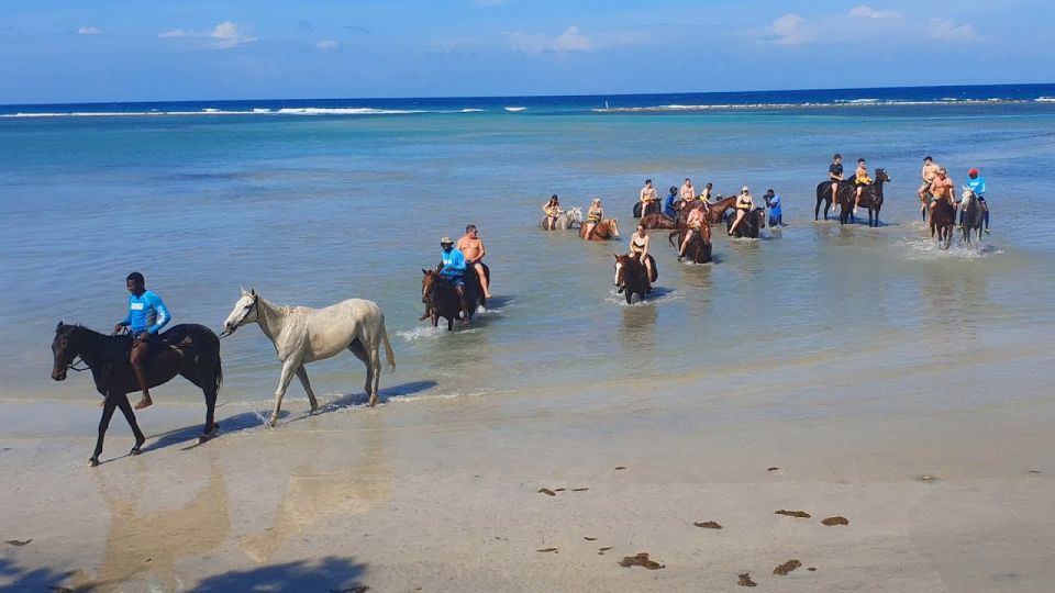 ATV and Horseback Ride and Swim From Montego Bay - Customer Reviews