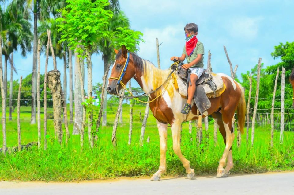 ATV Ride Cenote, Chocolate, Coffee Tasting & Horse Back Ride - Full Tour Description and Inclusions