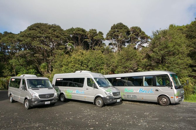 Auckland City and Waitakere Ranges Regional Park Full-Day Tour (Mar ) - Hotel Pickup Information