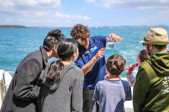 Auckland Dolphin and Whale Watching Eco-Safari Cruise - Policies and Reviews