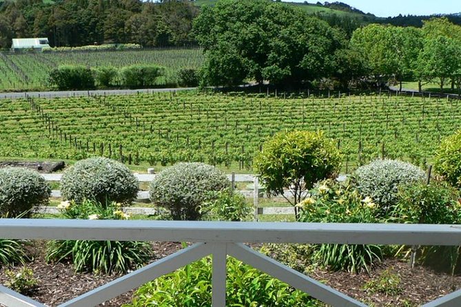 Auckland Shore Excursion: West Coast Wineries Tour - Viator Information