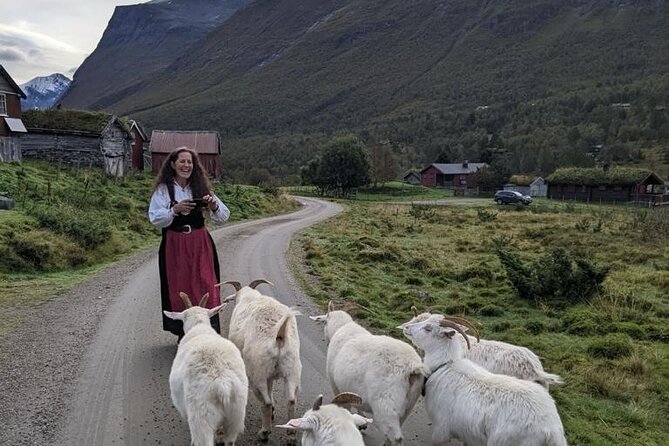 Audio Bus Tour at Scenic Routes of Andalsnes to Trollstigen - Pickup Logistics